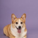 백호동물병원 이미지