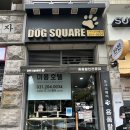 도그플러스 애견미용 이미지