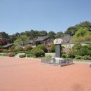 강릉교동짬뽕 이미지