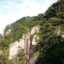 황산사과농원