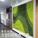 제천시청 | 스칸디아 모스 인테리어, 제천시청 살아있는 이끼 벽면 아트월! 멋스러운 손길