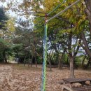 (단기)숲밧줄체험놀이지도사입문(자격증) | 고정형짚라인