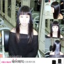 신효동-22 Daum카페