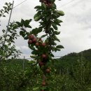 산직농장 이미지