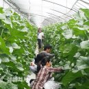 칠보면사무소 이미지