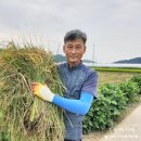쌀아가씨