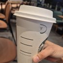 킹팝 | 마카오 스튜디오시티 팝마트, 스타벅스 위치 후기