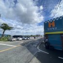 낭만 홍'S 이미지