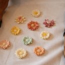 데일리로(DailyRo) 이미지