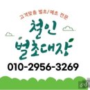 창원시 진해구 경남테크노파크 예초작업후기(철인벌초대장)