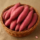해들녘 | 못난이 해들녘 고창 꿀고구마, 쿠쿠밥솥으로 찌니 더 꿀맛! (베니하루카 고구마 후기)
