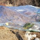 황산농장 이미지