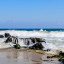 두리두리 이미지