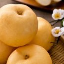 스트롱짐 화산 4호점 | 환절기 감기 조심! 면역력 높이는 음식 4가지, 스트롱짐 화산 4호점이 알려드려요