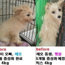 남매농장 이미지