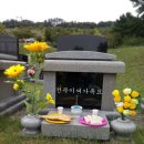 올자리.인 | 9월19일 예산 지역 정착지 탐방