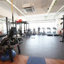 포레스트 다이어트 이미지