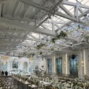 터틀하우스 | [서울 가성비 웨딩홀 추천] 신촌 케이터틀 투어 및 계약 솔직 후기 : 1탄 (밝은 홀, 하우스 웨딩)