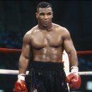 복싱1997 이미지