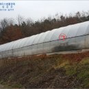 회룡2리마을회관 이미지