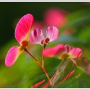 정으로사는세상을 이미지