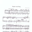 Scott Joplin / Maple leaf rag 이미지
