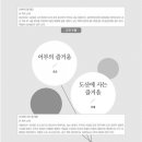 안쌤독서논술