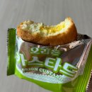 수영일기3. 수영 초급반 강습 첫째주 후기