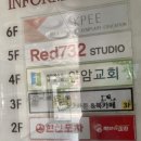 [빽보이피자 고대안암점] 고대맛집 안암동피자 백종원 피자집 처음 먹어본 후기