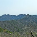 장성초등학교 이미지