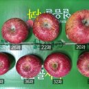 일광농원 네이버블로그