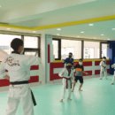 홍익태권도 이미지