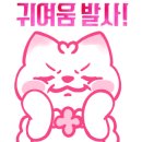 위디위키 이미지