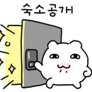 연화 스테이 이미지
