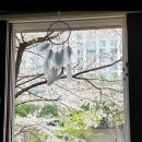 백석푸르지오 이미지