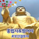 범어사 | 뚜벅이들도 쉽게 하는 부산절투어 홍법사 범어사 관광후기