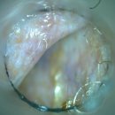 훈 동물병원 이미지