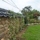 황산민박 이미지