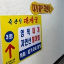 금어회센타 | 영덕 대게 맛집 추천 축산항 대게궁(박달대게 후기)