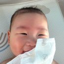 [신생아 손수건 추천] 엘리온 밤부 손수건, 우리 아기 첫 살결에 닿는 부드러운 선택! 👶✨