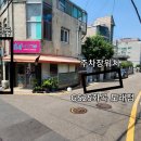 고양이 무마취 미용 냥털도둑 이미지