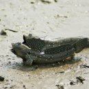 다산농업협동조합 이미지