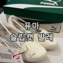 디자인더블유 - 제주시 일주서로 7335-8 | 퓨마 슬립캣 발레 Slipcat Ballet 250사이즈 내돈내산 더블유컨셉 구매 후기 발레코어 신발 추천