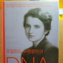 엘시