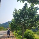 평창돌문화체험관 | 평창 바위공원 무료 캠핑장 평창강물환경체험센터 평창돌문화체험관