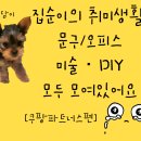 붓펜캘리그라피 초급(주간반) | ✏️ 집순이의 취미생활 — 문구/오피스 × 미술·DIY 모두 모여있어요