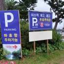 쇠소깍 공영 | 제주 액티비티 쇠소깍 카약 테우 체험 예약 방법 정리