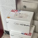 오늘도멍냥 이미지