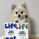 펫사랑약국 | 라이프펫 강아지 고양이 종합영양제 멀티밸런스 ! 전연령 , 시니어 나이별로 건강 챙기기