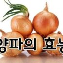 🐟 멸치는 칼슘(Ca) 덩어리 ❤️ 이미지